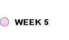 week 5 home work