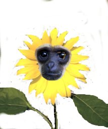 Original Image